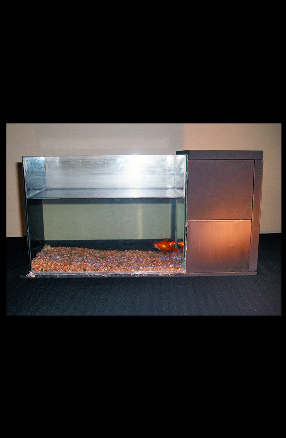 PECES COMO (ARTE)